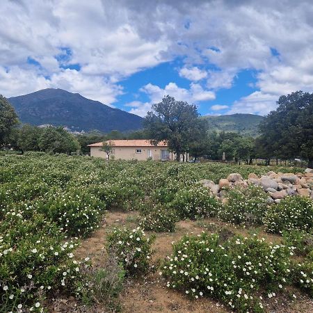 Moltifao Domaine U Filanciu - Casa Ghjulia - Centru Di Corsicaヴィラ エクステリア 写真
